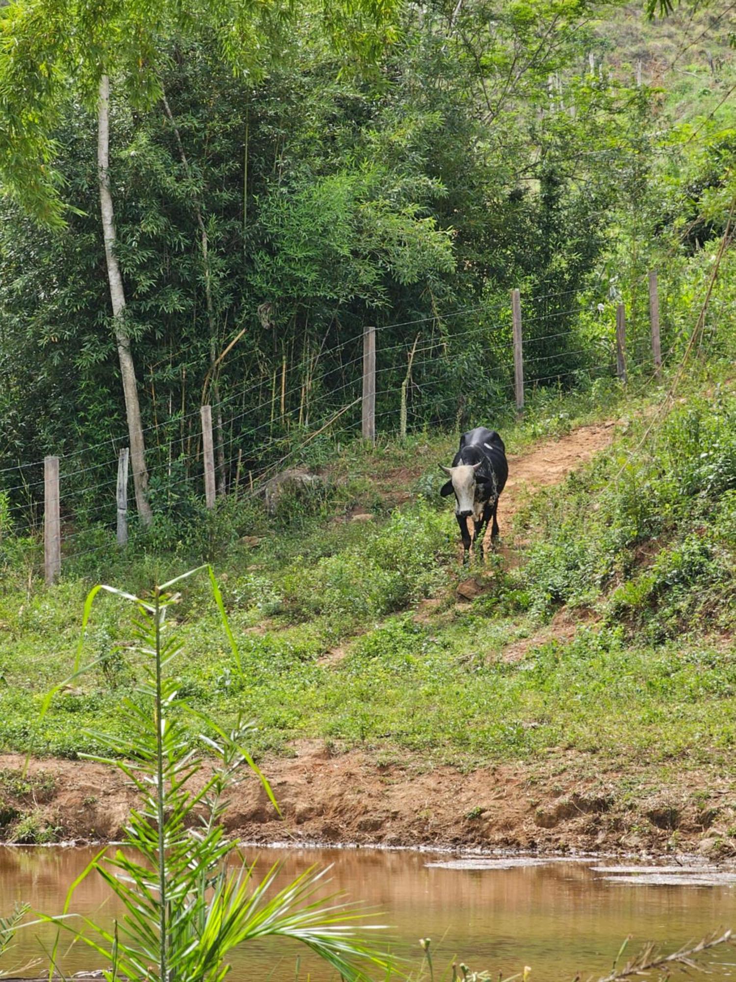 Sitio Reis Membeca Sông Paraíba do Sul Ngoại thất bức ảnh