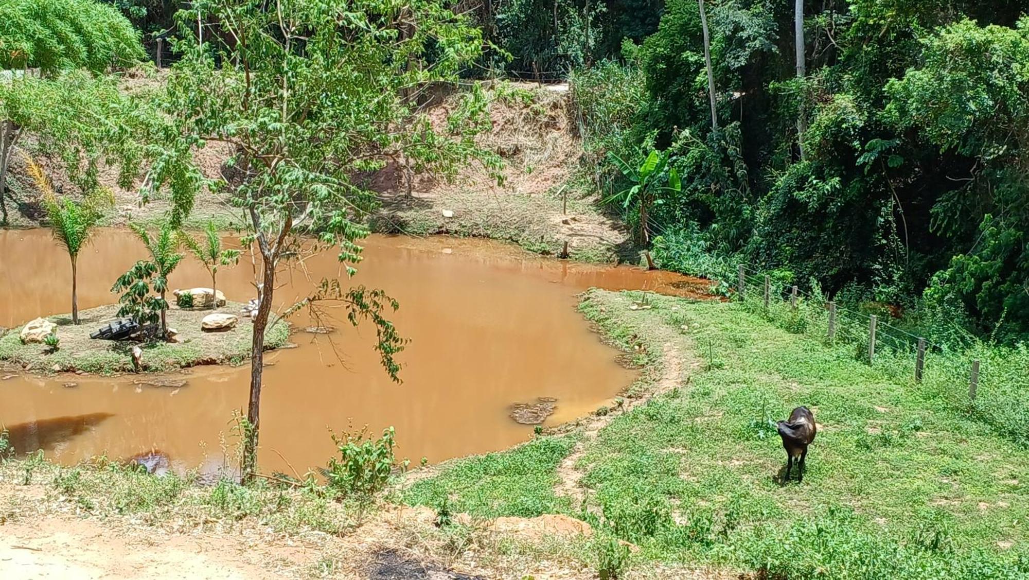 Sitio Reis Membeca Sông Paraíba do Sul Ngoại thất bức ảnh