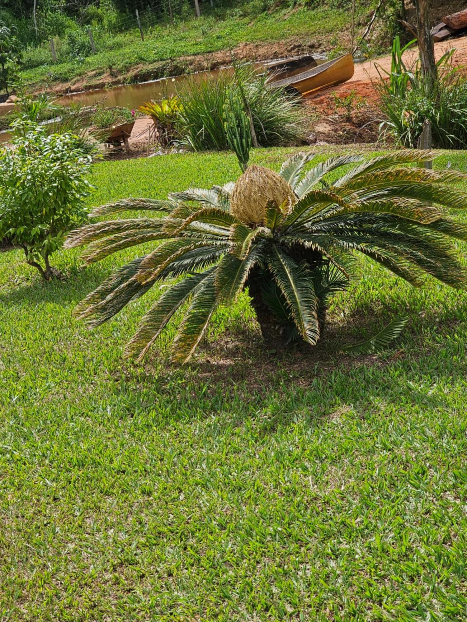 Sitio Reis Membeca Sông Paraíba do Sul Ngoại thất bức ảnh