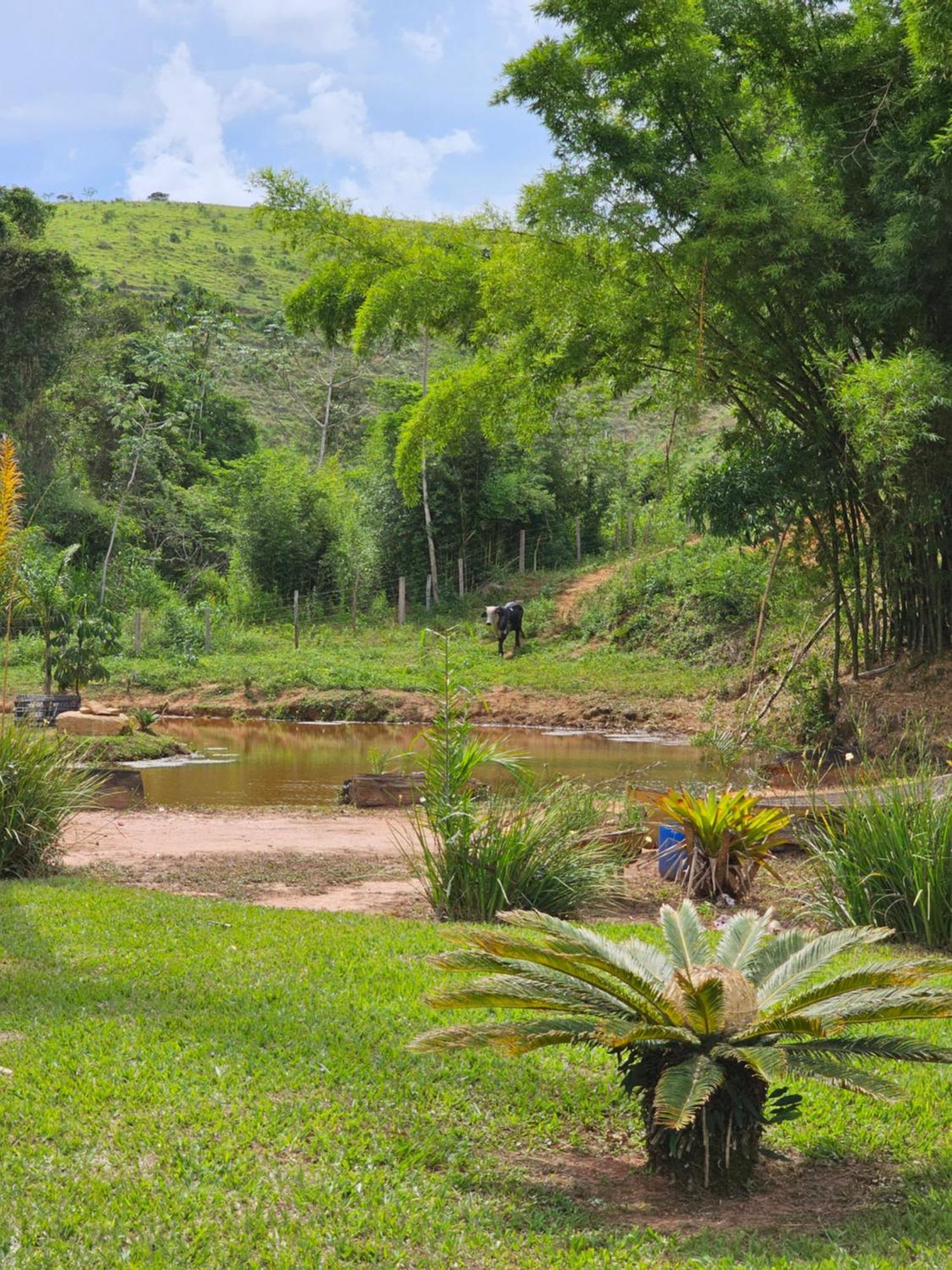 Sitio Reis Membeca Sông Paraíba do Sul Ngoại thất bức ảnh