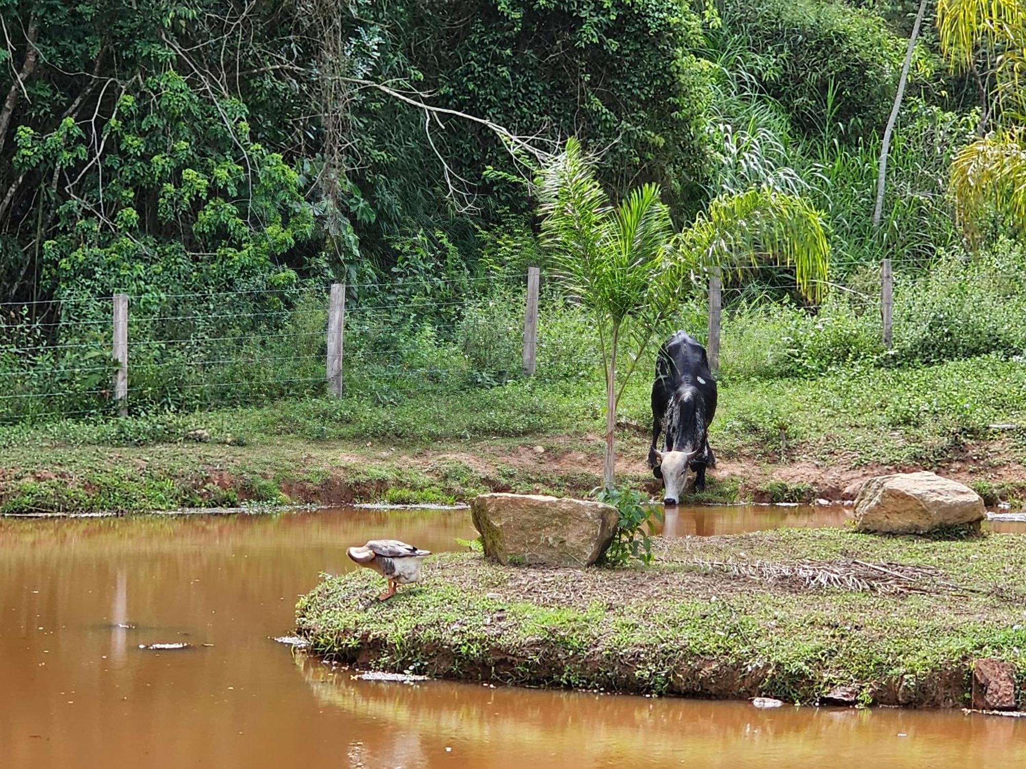 Sitio Reis Membeca Sông Paraíba do Sul Ngoại thất bức ảnh