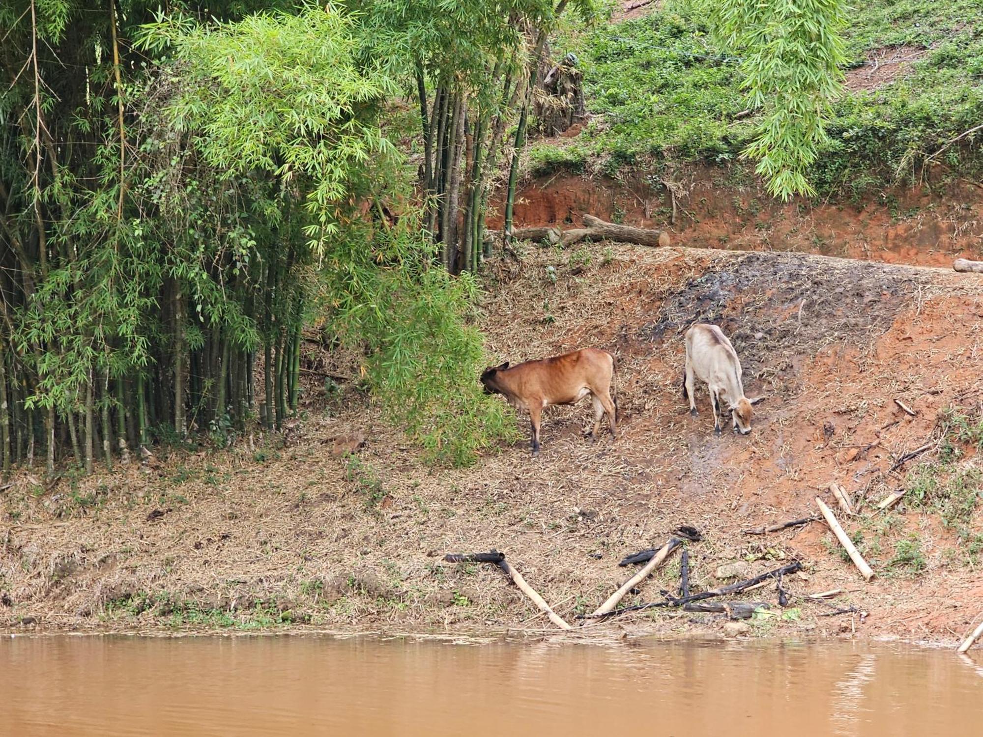Sitio Reis Membeca Sông Paraíba do Sul Ngoại thất bức ảnh