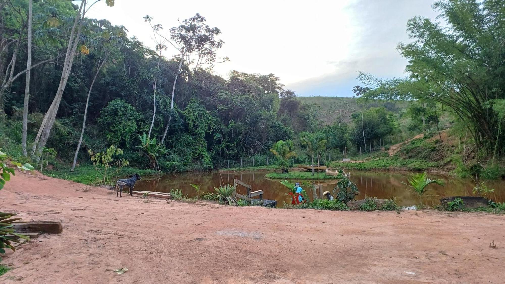 Sitio Reis Membeca Sông Paraíba do Sul Ngoại thất bức ảnh
