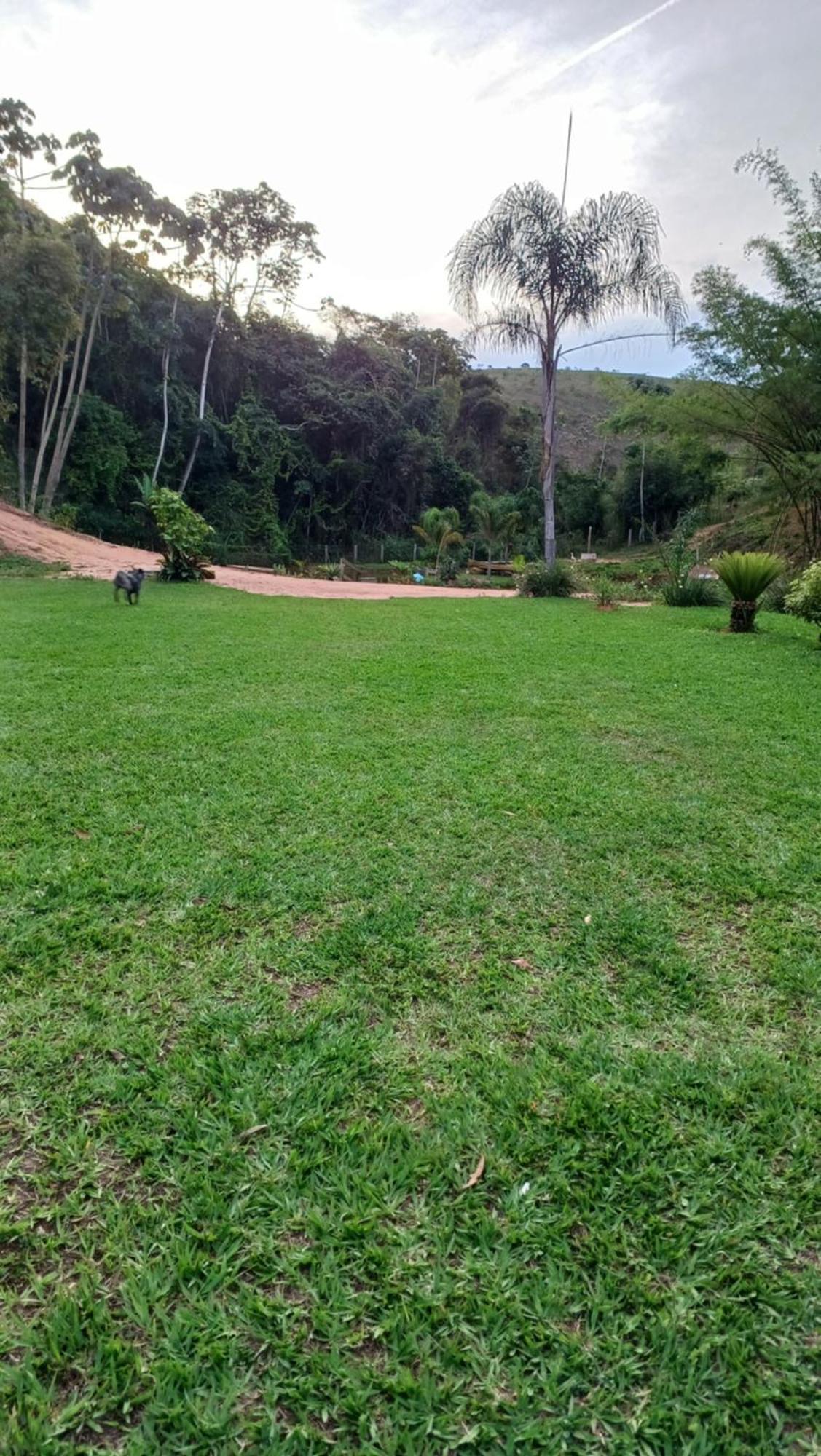 Sitio Reis Membeca Sông Paraíba do Sul Ngoại thất bức ảnh